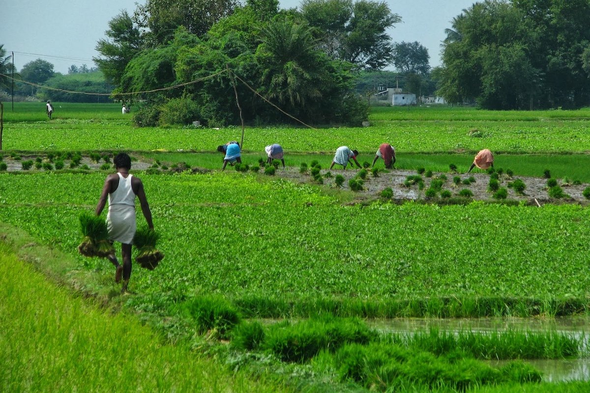 MGNREGA Repeal Reveals More Than It Hides